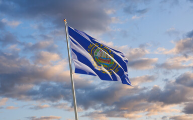 New Hampshire US State Flag at sky background.