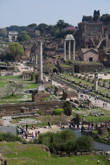 Obraz premium Roman Forum,Rome, Italy, Europe