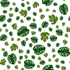 Seamless pattern with green leaves of monstera and figs on a white background. Hand drawing. Vector illustration. Tropical plants.