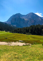 Idyllic fresh landscape in the mountains.
