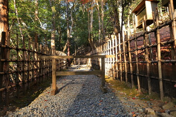 嵐山公園　京都　日本