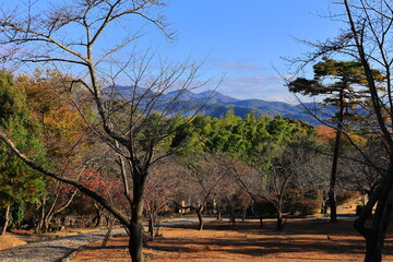 嵐山公園　京都　日本