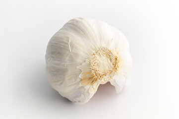 Garlic bulb white background close-up