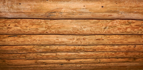 Natural wood background made from tree trunks