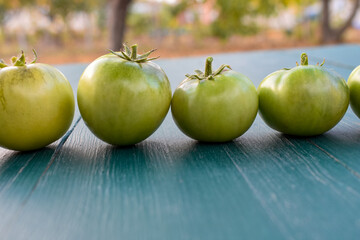 Organic green tomatoes on the table in a row