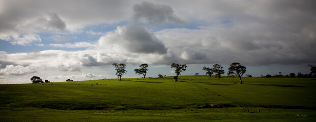 Fototapeta na wymiar Panoramic landscape field