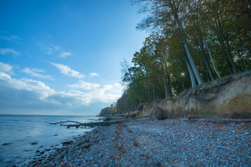 Buchenwald an der Ostseeküste. - Skelde Kobbel, Dänemark. Bewegungsunschärfe, Langzeitbelichtung