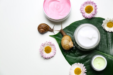 Composition with snails and cosmetic products on white background, top view