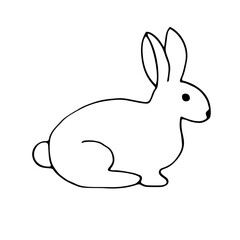 Bunny, vector illustration, hand drawing