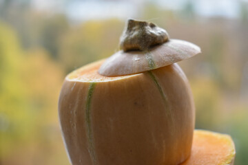 Juicy ripe cut pumpkin close up