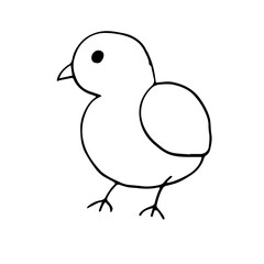 Chicken, doodle vector illustration, hand drawing