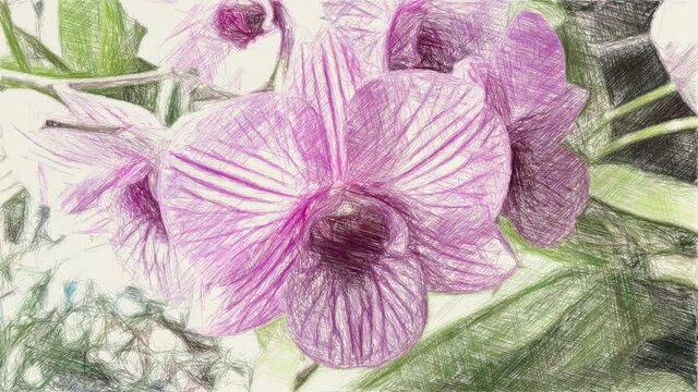 art drawing color of purple orchid flower