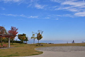 Obraz premium 青い空の下でピクニック気分