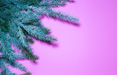 Christmas cards on a pink background with fir branches. Place for text layout