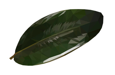 Vector green single ficus leaf isolated on white background. Floral design element in low poly style.