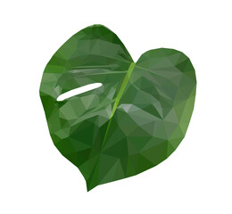 Obraz premium Vector single green monstera leaf isolated on white background. Floral design element in low poly style.
