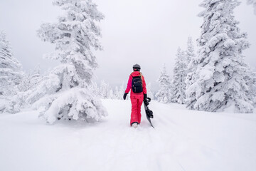 Snowboarder female walking through winter forest carrying snowboard. Powder Day. Walking throw deep snow, freeride on winter holiday