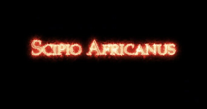 Scipio Africanus written with fire. Loop