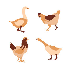 Silhouettes of hens and geese. Images from multi-colored segments.