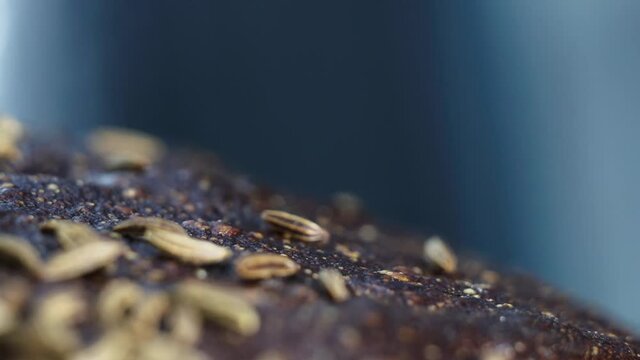 bread with caraway seeds close-up, macro video filming.