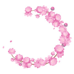 Fototapeta na wymiar Peach blossoms spring frame background