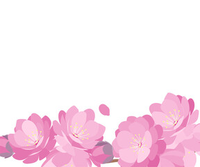 Obraz na płótnie Canvas Peach Blossoms spring banner