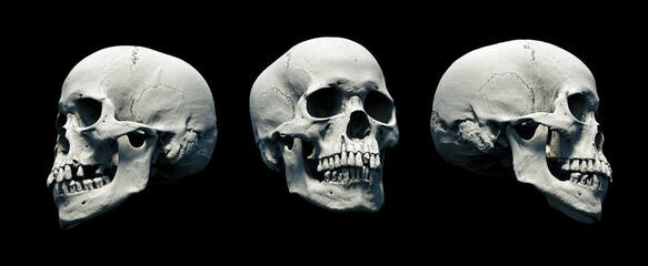 Set Human skulls with an close lower jaw on a Black isolated background. The concept of death, immortality, eternal life, horror. Acult symbol. Spooky Halloween symbol. 3D render
