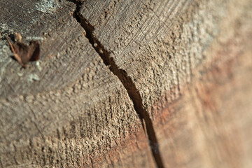Close-up of a wooden block at the fracture site. A crack in a wood surface in soft focus at high...