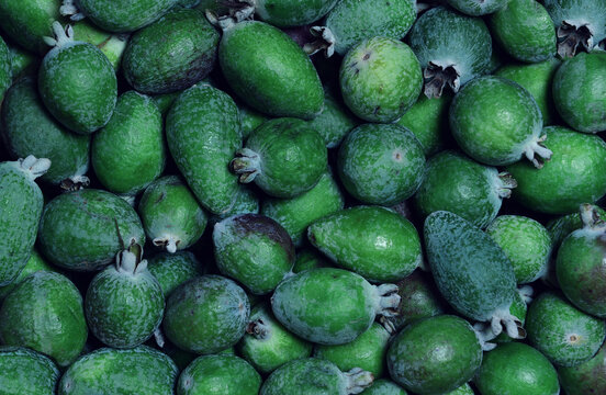 harvest juicy and ripe fruits, all shades of green in a fruity background from feijoa. New Year's fruits, for the Christmas table, Ripe fruits for advertising, banner, oboy. exotic fruits. the concept