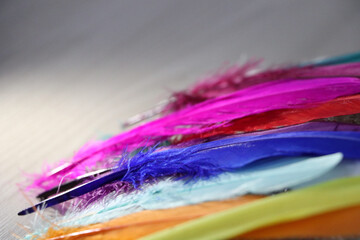 feathers color background
