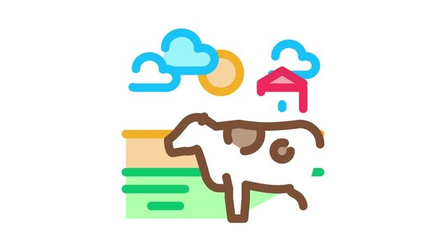spotted cow in village Icon Animation. color spotted cow in village animated icon on white background