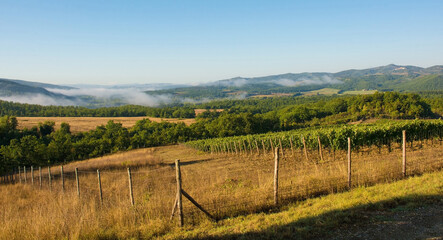 Morning mist rising over the late summer landscape near Murlo, Siena Province, Tuscany, Italy
