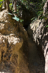 Pha Cho is high soil canyon cliffs at Mae Wang National parks in Chiang Mai Thailand.      