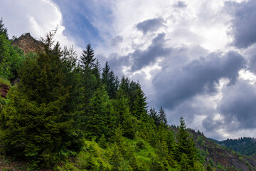 clouds over the mountains