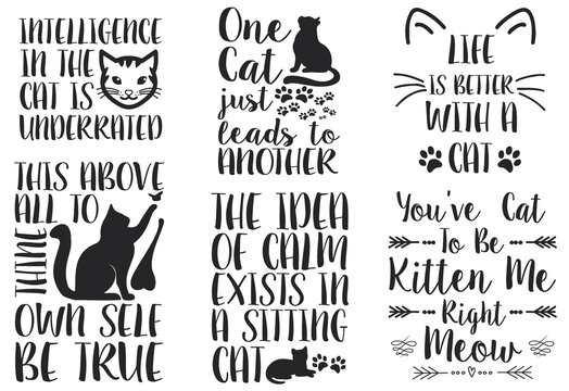 Download Cat Quotes Photos Royalty Free Images Graphics Vectors Videos Adobe Stock PSD Mockup Templates