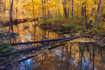 519-06 Galien River Atumn