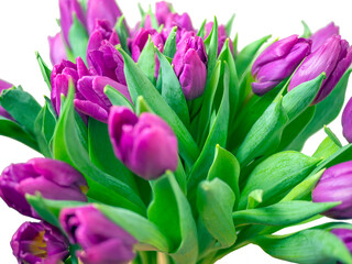 Obraz premium Bouquet red tulips on a white background. Valentine Day and Mother Day. copy space for design. holiday concept. Image for desktop and wallpaper. close up