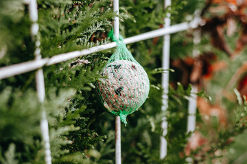 Selective focus shot of a fat ball for birds in a green net