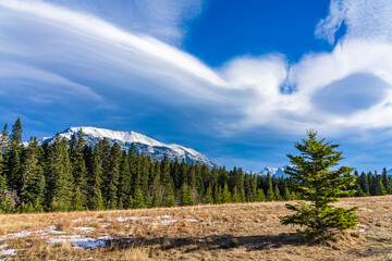 A isolated pine tree on unmelted snow grassland with beautiful cloudscape in late autumn sunny day. Forest and snow capped mountains in the background. Natural scenery in Canmore, Alberta, Canada.