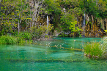 Summer landscape in Plitvice National Park, Croatia, Europe