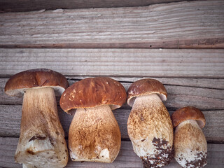 Boletus mushrooms on a wooden background.