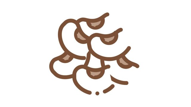 bean grains Icon Animation. color bean grains animated icon on white background