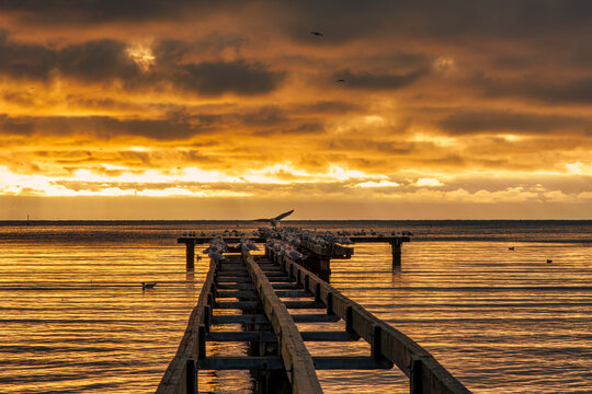 A beautiful golden sunset over an old boardwalk. Photo from Hallevik, Blekinge county, Sweden