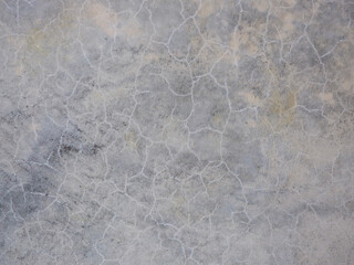 White cracked surface for backdrop. Color - Spun Pearl, Hue Blue.