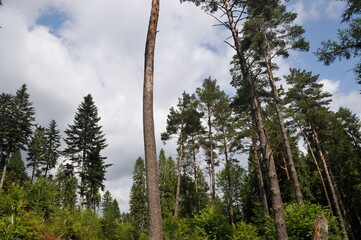 Bieszczady, Poland
