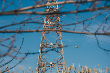 Helicóptero visto a través de ramas en la distancia. Volando entre torres eléctricas de alta...