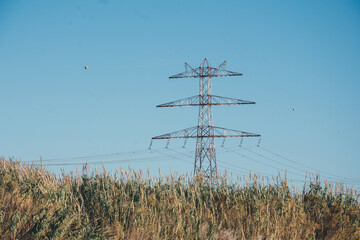 Torre eléctrica de alta tensión en paisaje natural con cañas y arbustos. Campo y rural.