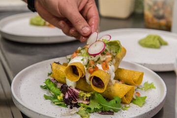 Classic Mexican Burrito dish on white plate.