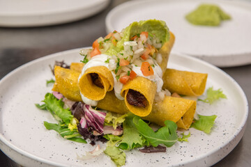 Classic Mexican Burrito dish on white plate.