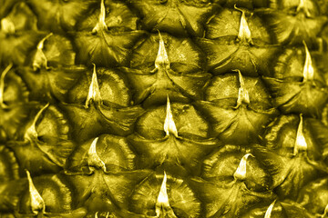 Trendy Illuminating color of the year 2021. Pineapple skin close up. Macro pineapple background.